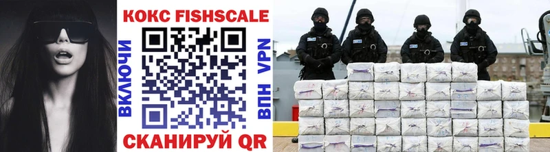 где можно купить наркотик Камышлов COCAIN FishScale