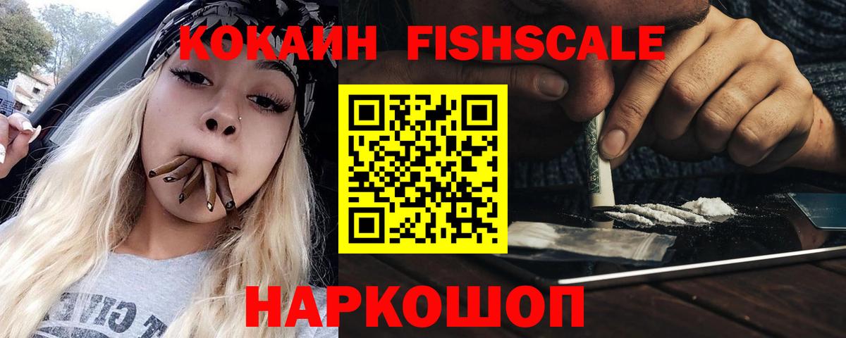 наркошоп  COCAIN FishScale  Вход с VPN  Камышлов  КОКАИН FishScale  COCAIN 