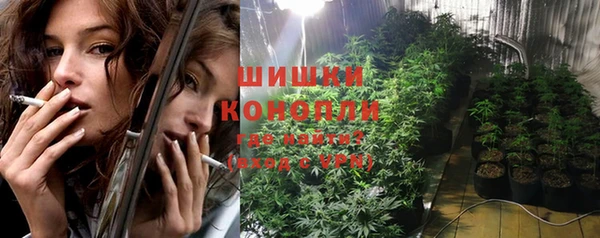 стаф Абаза