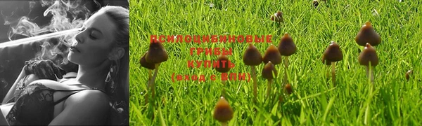 меф Абдулино