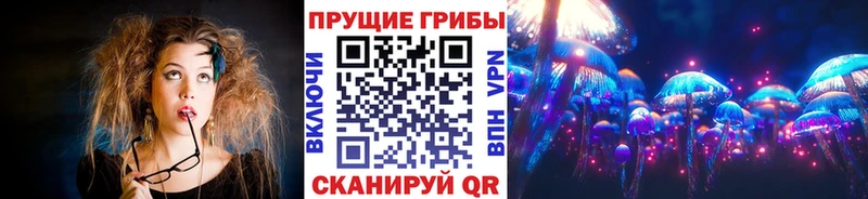 Псилоцибиновые грибы Cubensis  купить закладку  Камышлов 