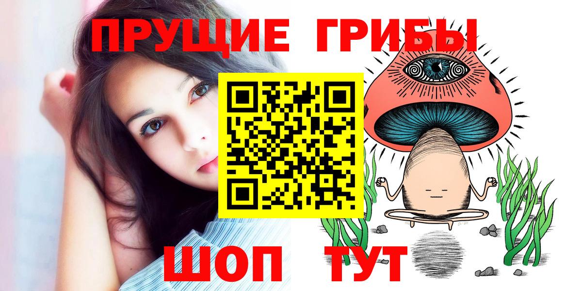 Псилоцибиновые грибы MAGIC MUSHROOMS  Вход с VPN  Камышлов 